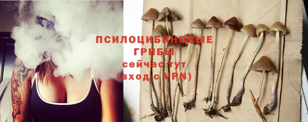 соль курить ск Балахна
