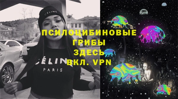 spice Армянск