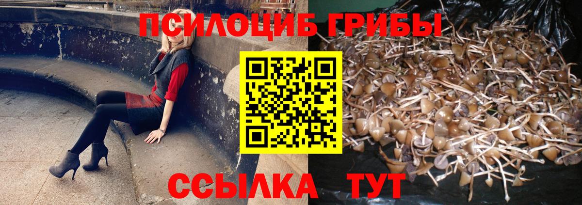 Галлюциногенные грибы Cubensis  Вход с VPN  наркошоп  Красноярск 